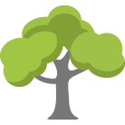 Hendersonville Tree Removal