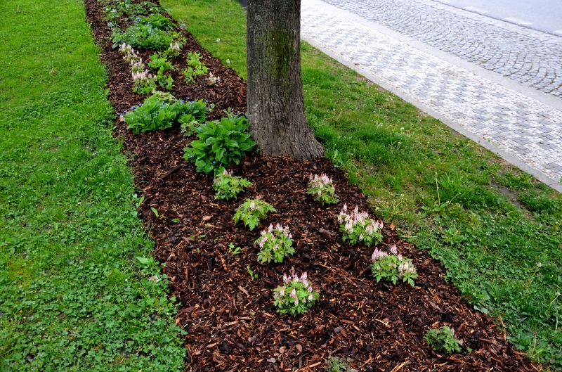Garden Bed with Mulched Leaves